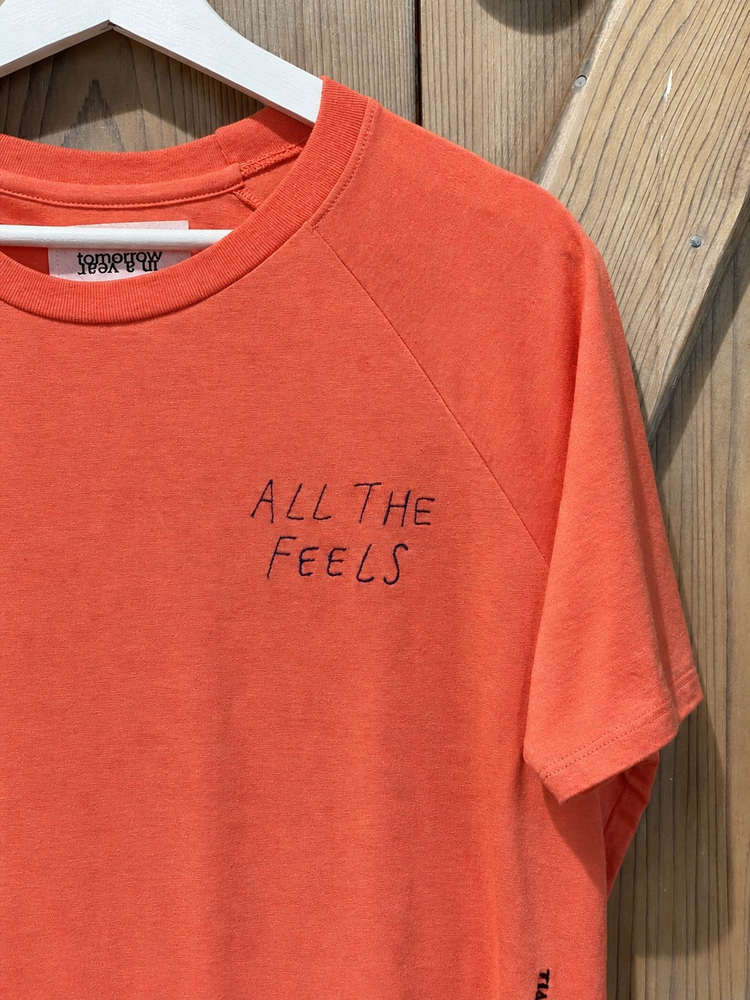 ALL THE FEELS - Short Sleeved Premium Raglan Shirt