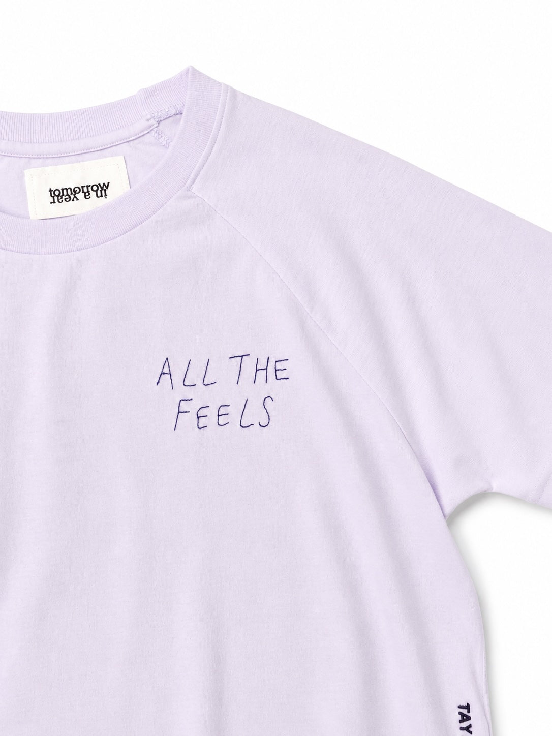 ALL THE FEELS - Short Sleeved Premium Raglan Shirt