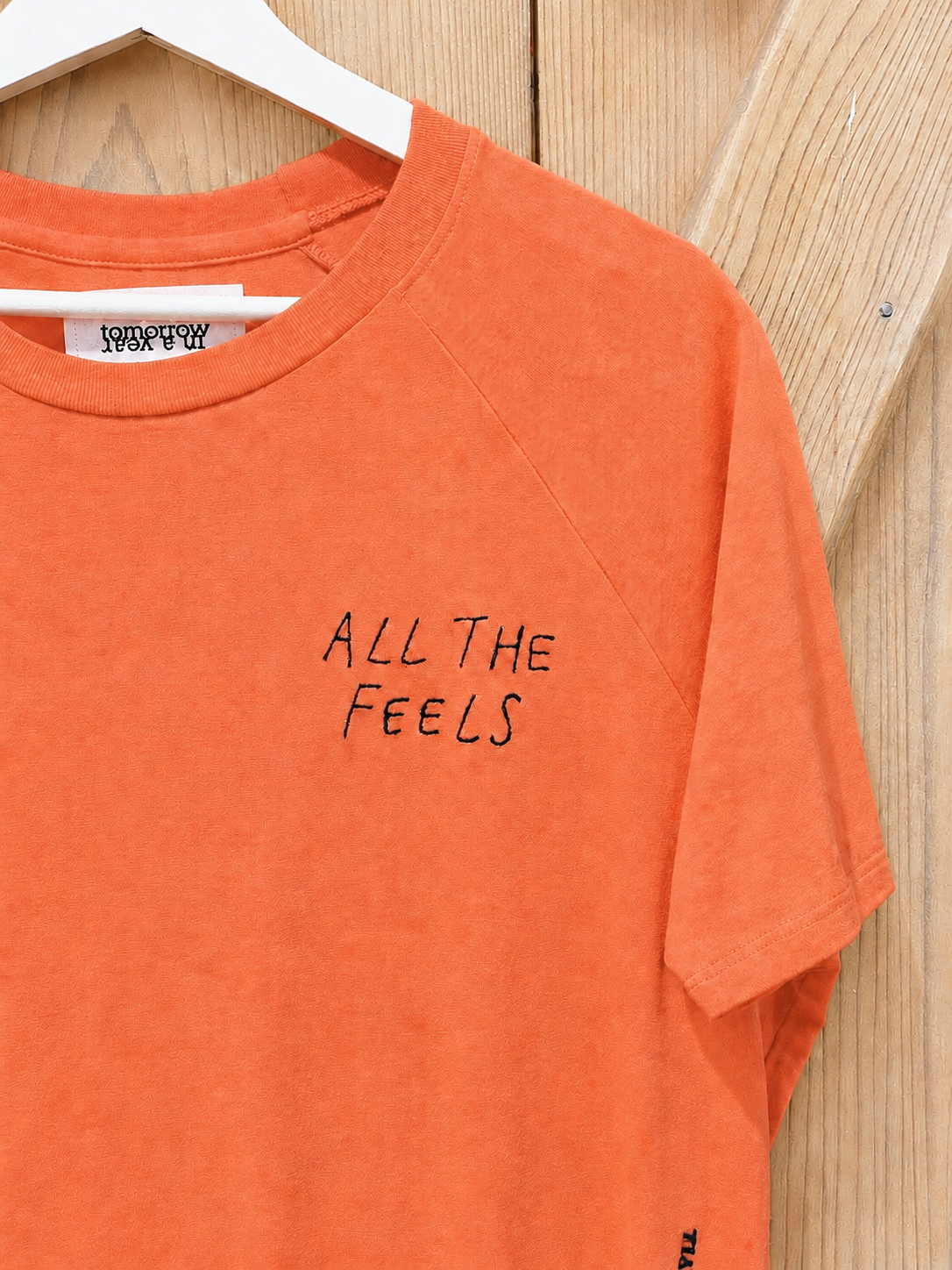 ALL THE FEELS - Short Sleeve Premium Raglan T-Shirt