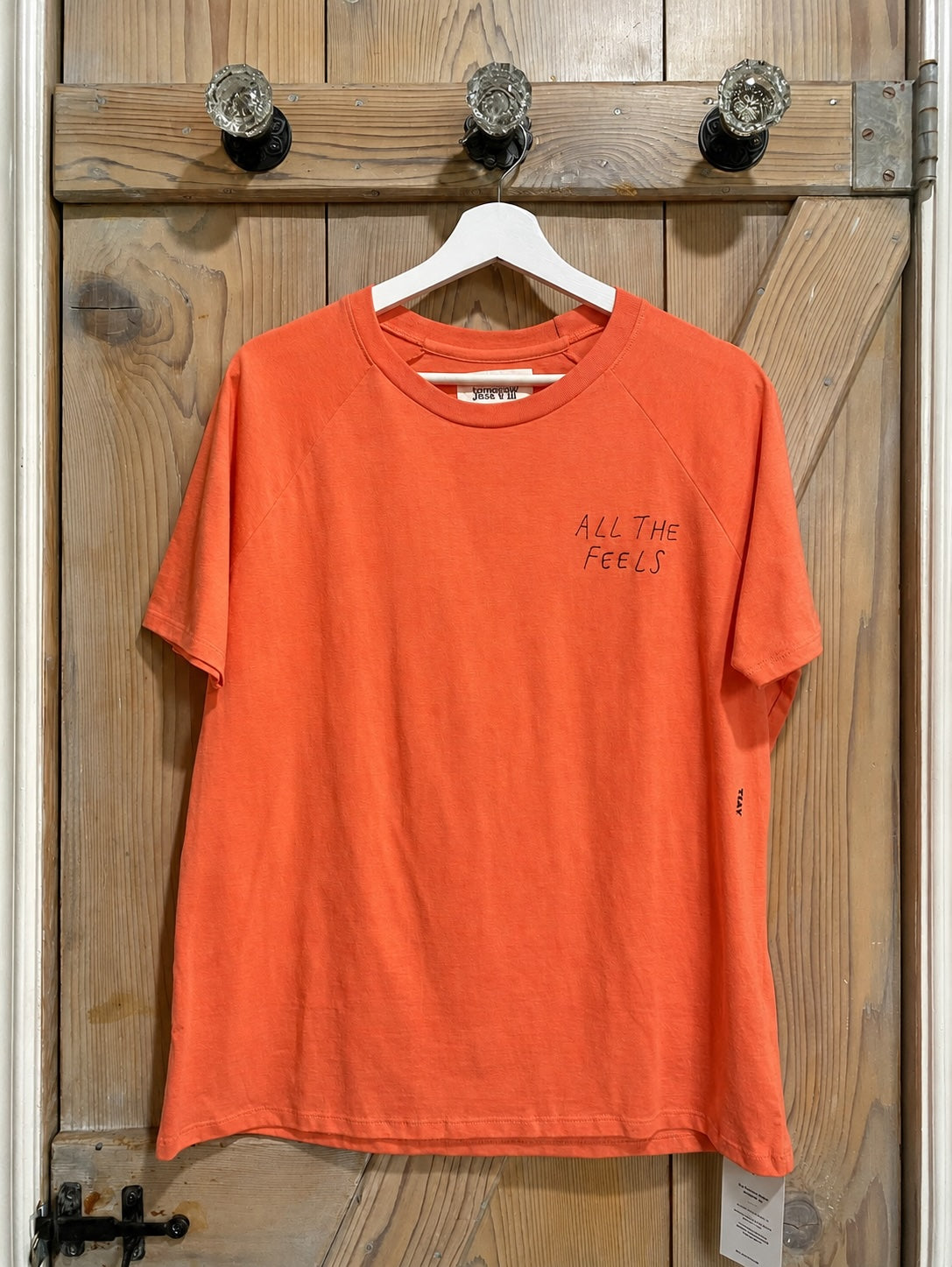 ALL THE FEELS - Short Sleeved Premium Raglan Shirt